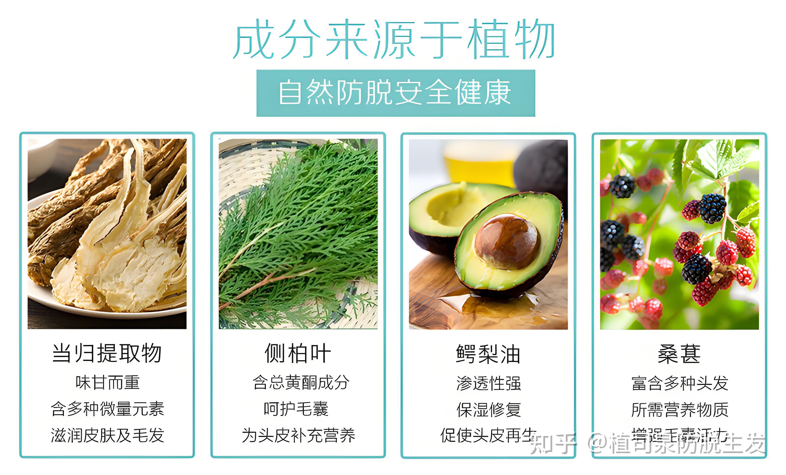 生发液真的可以生发吗?央视唯一认证的育发液! - 知乎