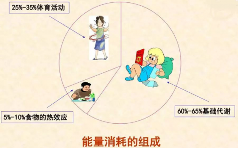 v2-d8dede663b0d30d5227458f2b7e9a1cf_1440w.jpg?source=172ae18b