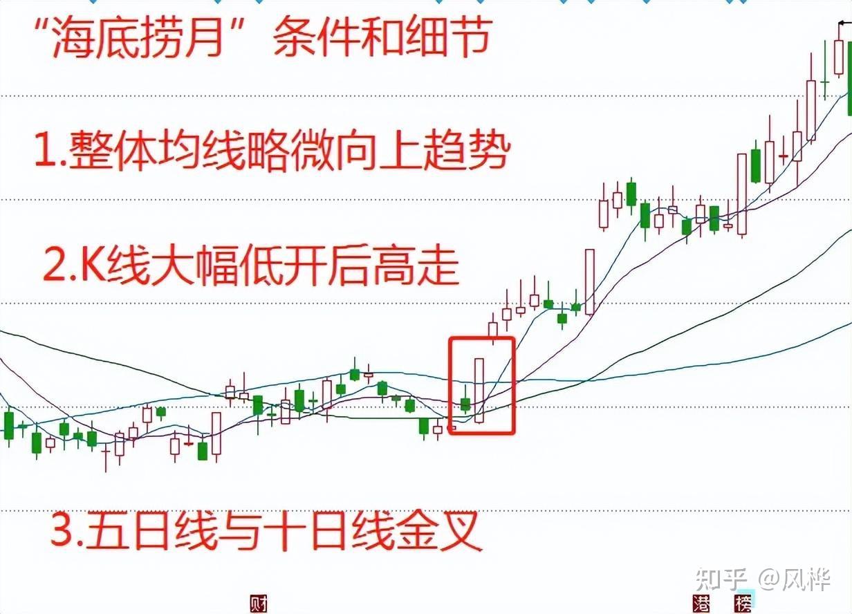 海底捞月形态图解图片