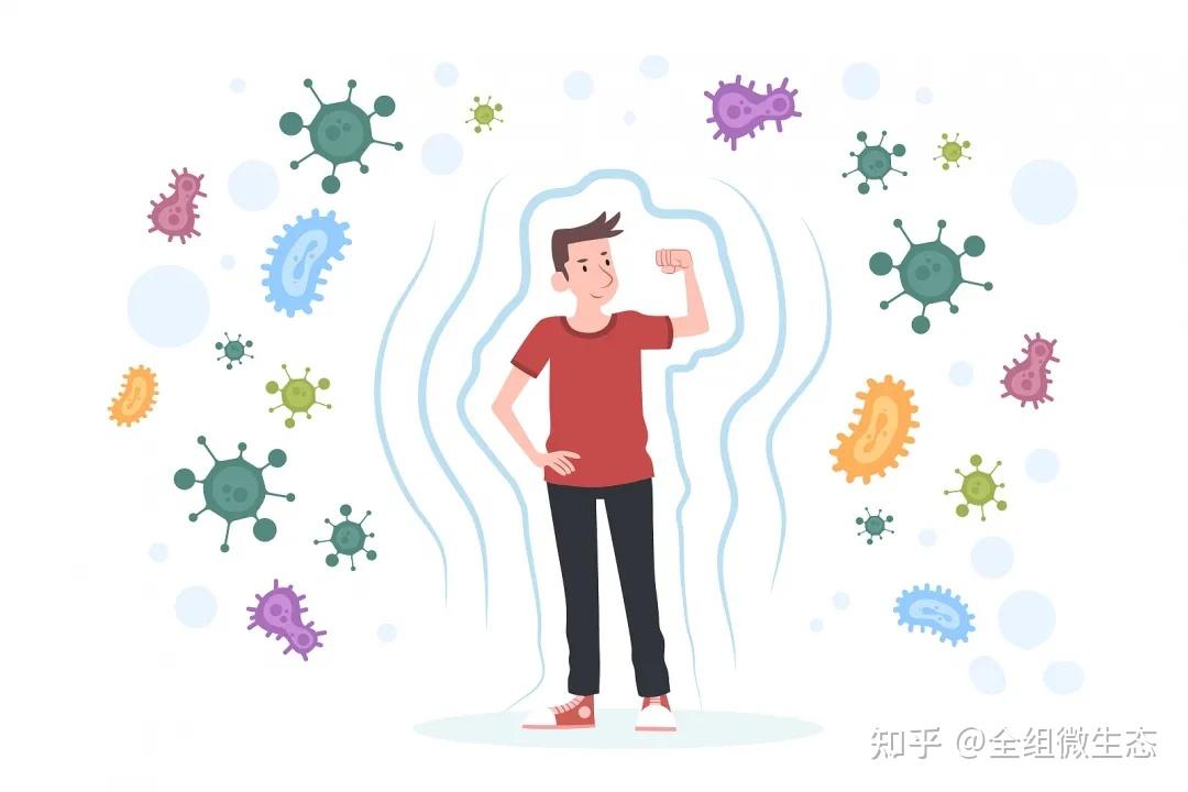 梦幻的什么是免疫功能紊乱的视图