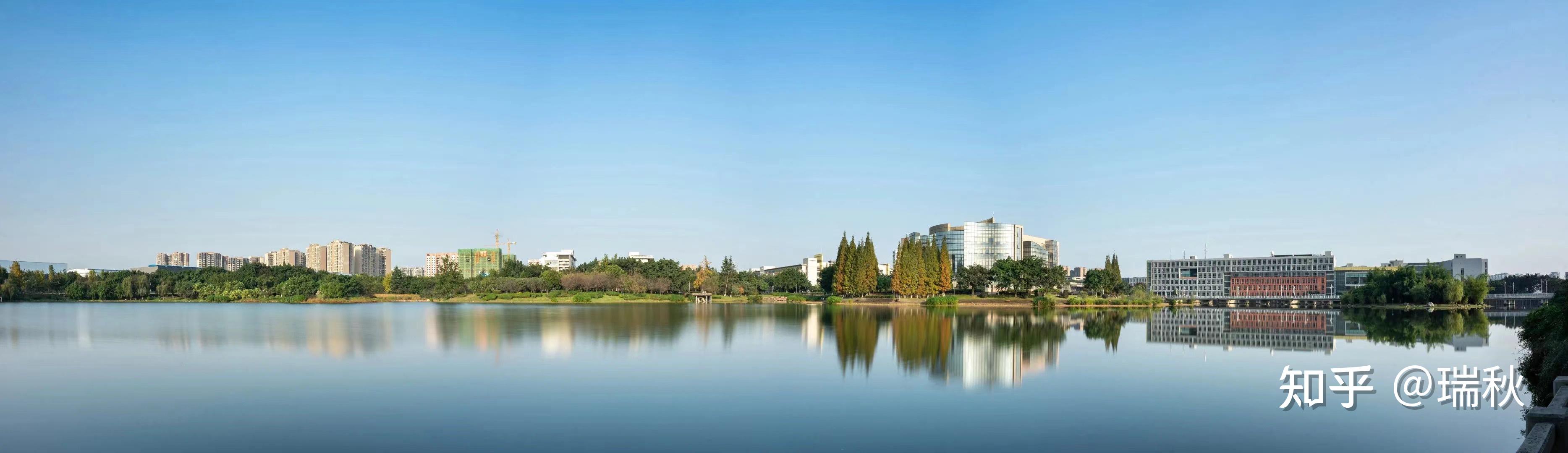 七,川大油画硕导简介