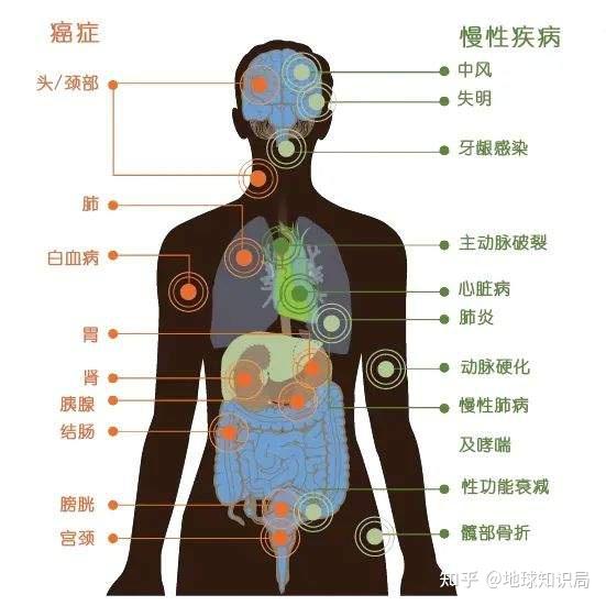 上亿烟民的问题领导一拍脑袋就定了地球知识局