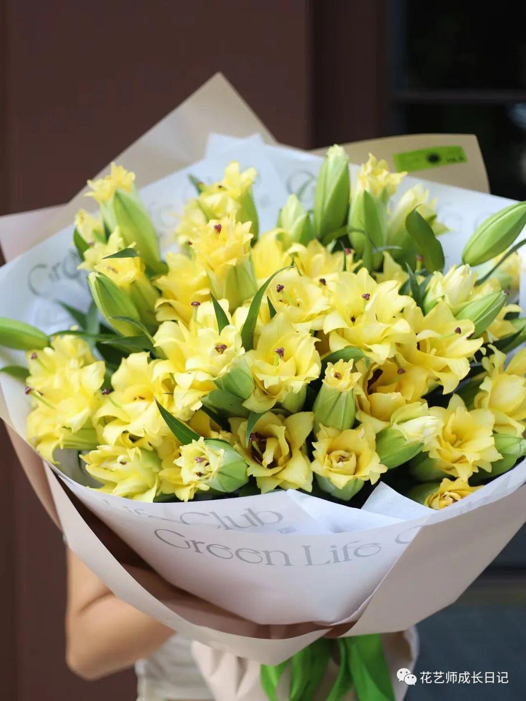 100朵百合vol10异国阳光百合阳光撒下的颜色