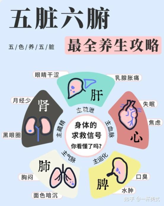 五脏六腑如何保养?超全中医养生指南 - 知乎