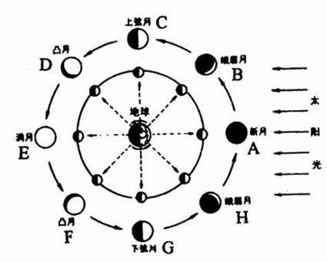 我们看到的半月直径部分为什么是模糊不清的,而圆弧部分却有清晰的
