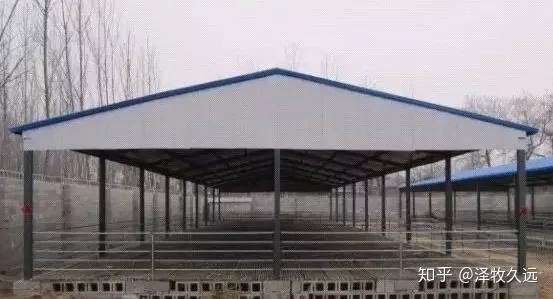 彩钢搭羊圈,几种方案简单又方便