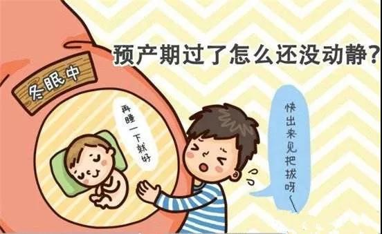 你的预产期准吗 知乎