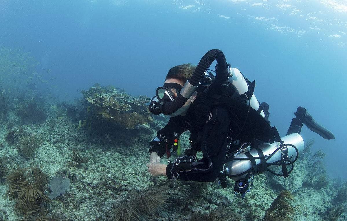 关于休闲潜水,技术潜水,自由潜水