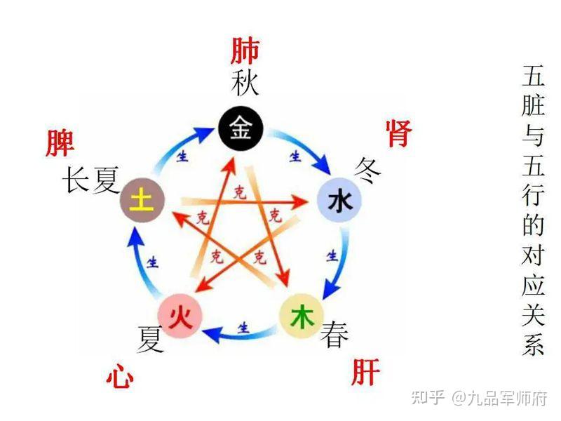 《黄帝内经》人体五脏的相生相克 - 知乎