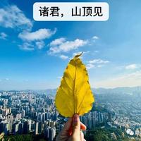 诸君 山顶见