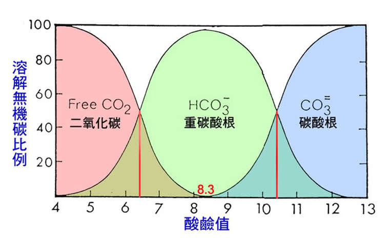 滴加酚酞溶液呈红色的溶液中一定不存在碳酸氢根离子吗?