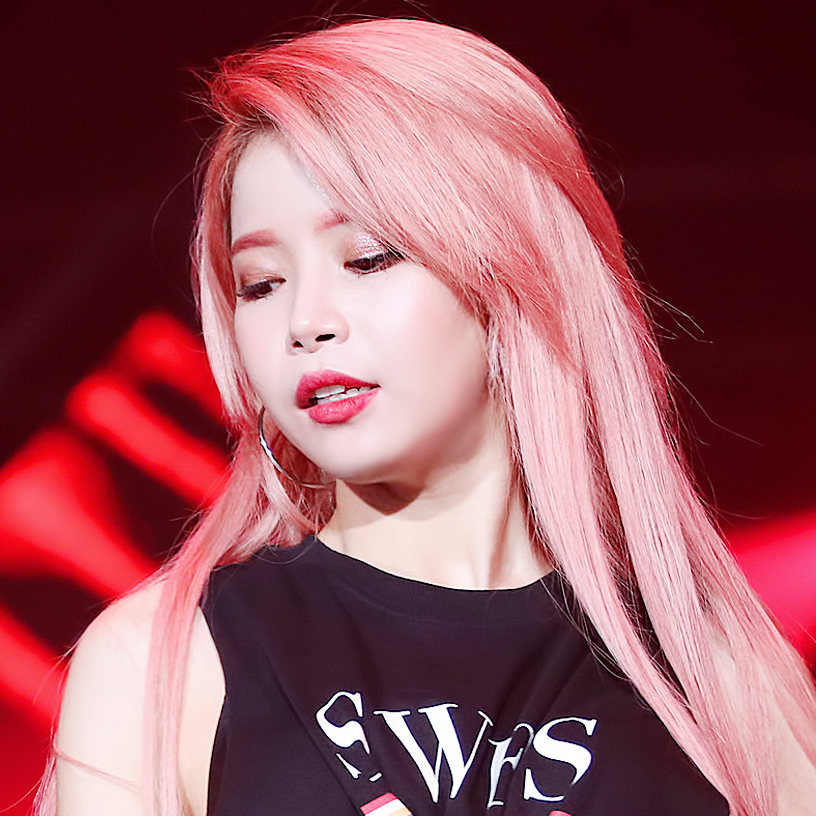 头像mamamoo颂乐金容仙合集