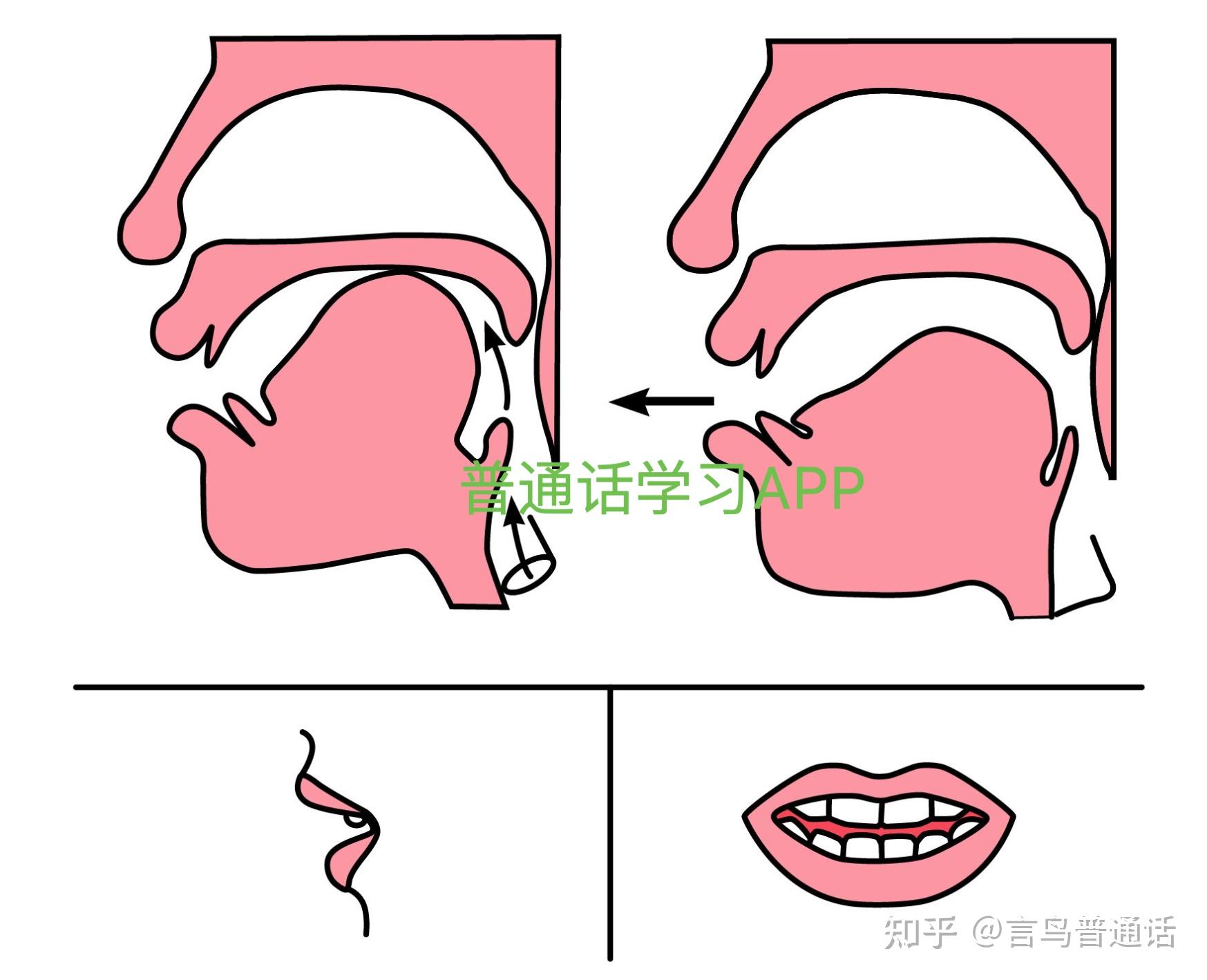 声母发音口型及配图图片