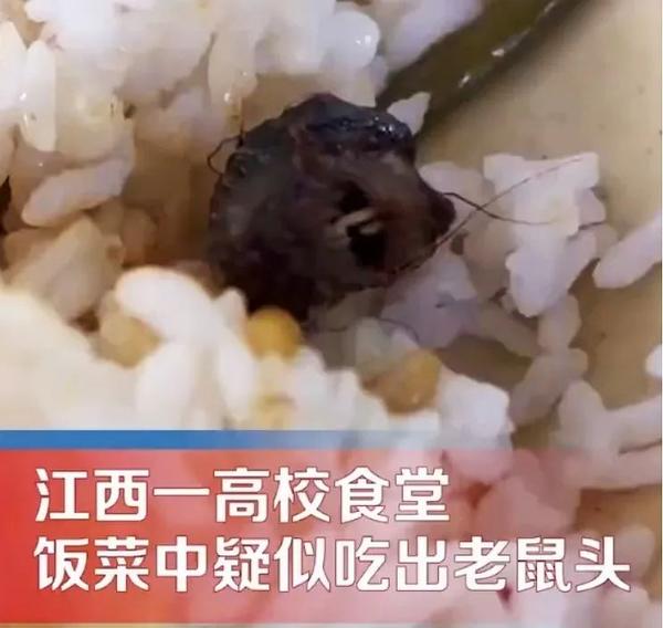 真相即将揭晓