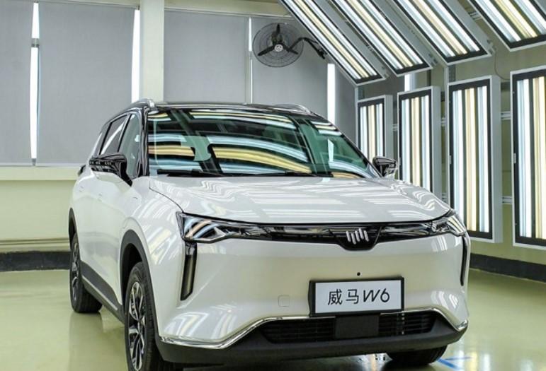 高合停工停产,威马汽车无辜躺枪 - 知乎