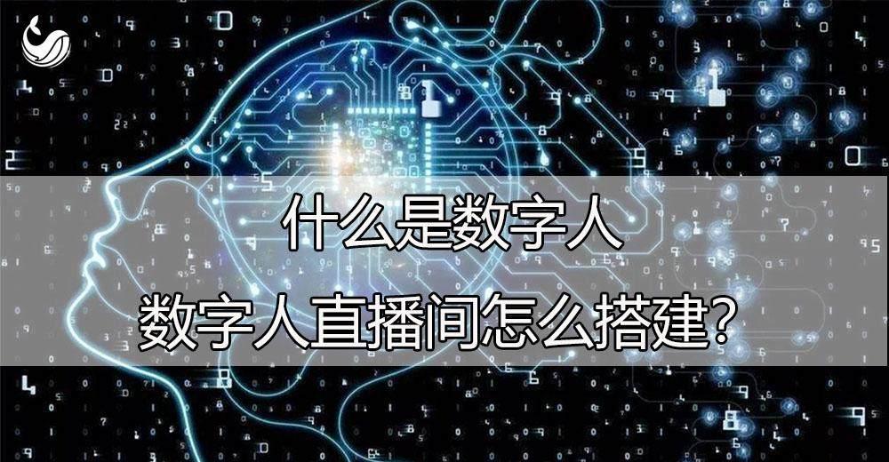 什么是数字人?数字人直播间怎么搭建? - 知乎