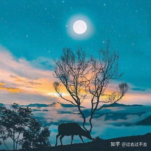 各种晚安文案大全 - 知乎