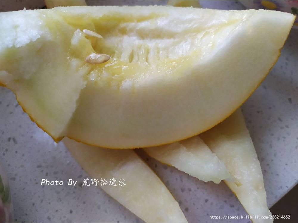 磴口华莱士它只是新疆最普通的黄蛋子