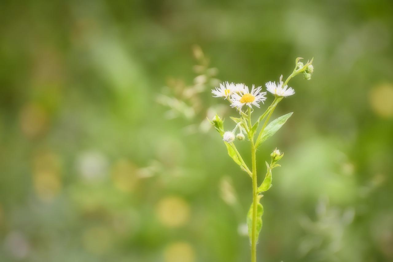 2. 房型尺寸揭秘