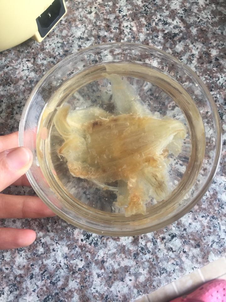 鱼胶花胶泡发过程全解小金龙花胶鱼胶