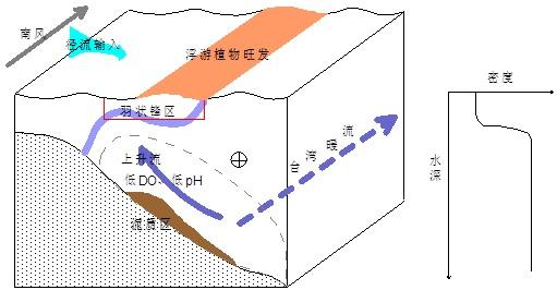 72小时连续观测揭示浮游植物群落对内波强化上升流的响应过程和机制 - 知乎