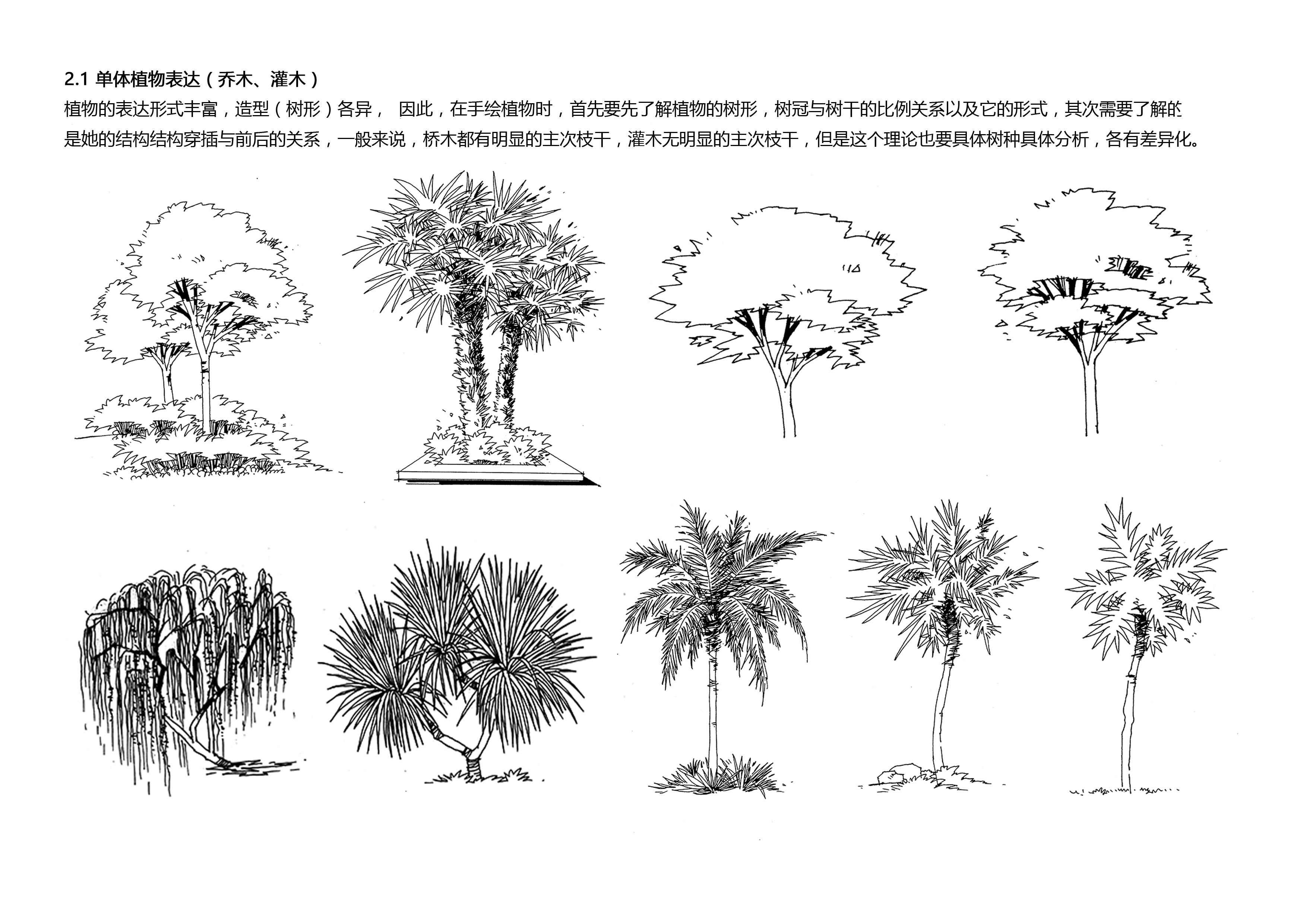 风景园林专业画植物和石头这种手绘的书籍有推荐的吗