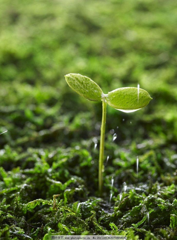 种子书评每个人都是一粒种子