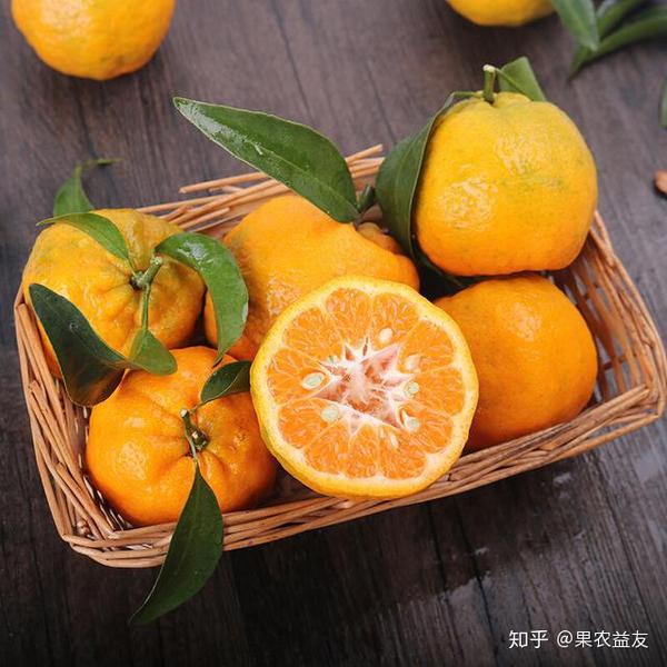 为啥长阳的清江椪柑味道这么好?秘诀真的在于“山”和“水”吗? - 知乎