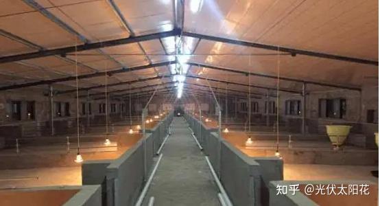 猪舍光伏养猪场光伏发电