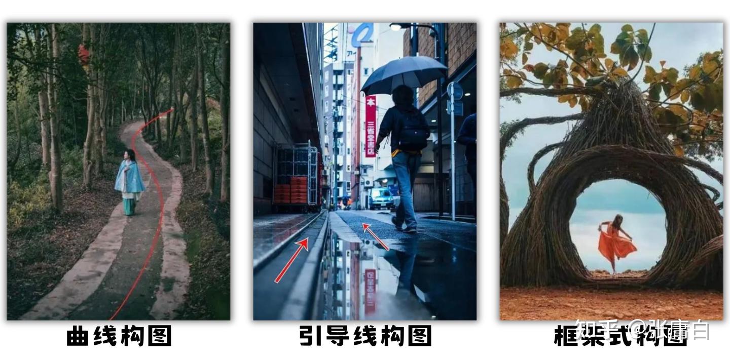 摄影构图｜构图的原理是什么？如何进行构图？最常用的构图干货分享 知乎 