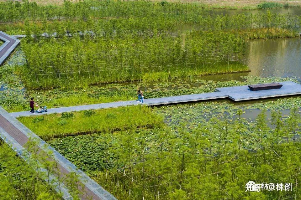 場地本身已經形成初步的山水格局,豎向關係較為豐富.