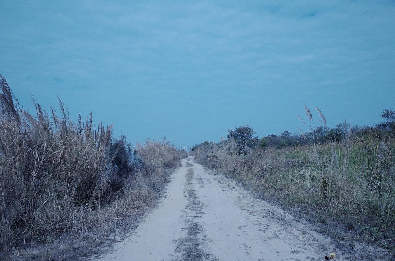 临泉204省道怎么规划