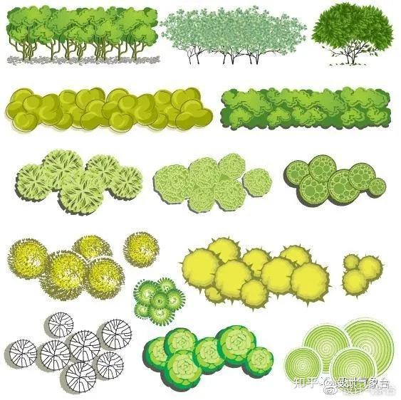 图片图片青春系平面绿篱植物素材图片图片图片图片青春系植物立面素材