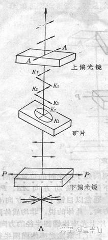 《晶体光学》第四章 正交偏光系统下矿物的光学性质 - 知乎