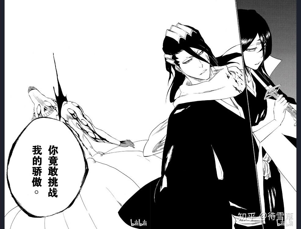 《bleach》人物解析:朽木露琪亚(四)——朽木白哉与朽木露琪亚