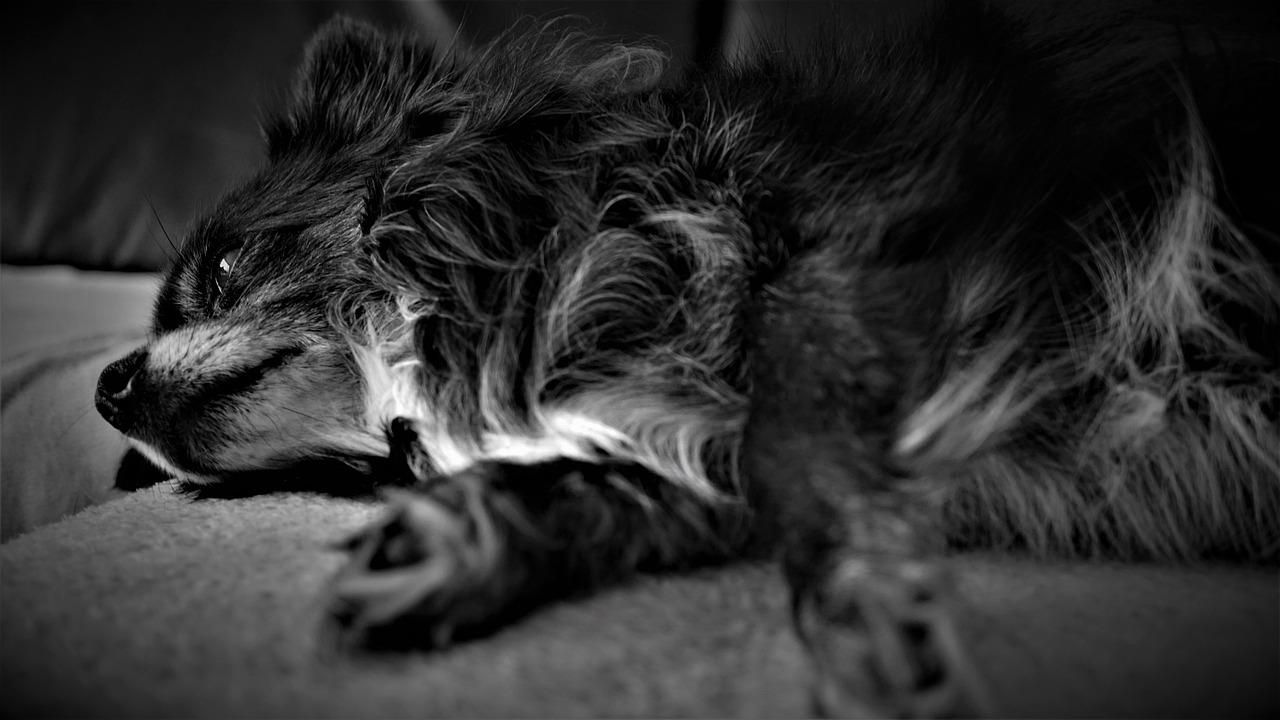 3. 设计风格独特性