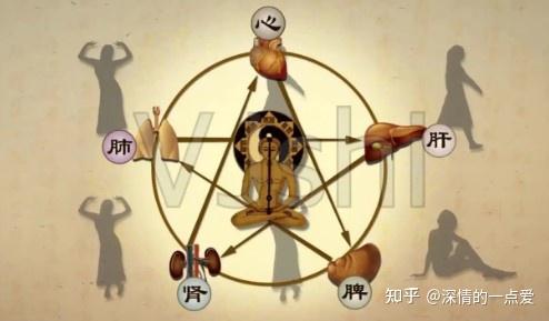 五脏与五体、九窍、五华的关系? - 知乎