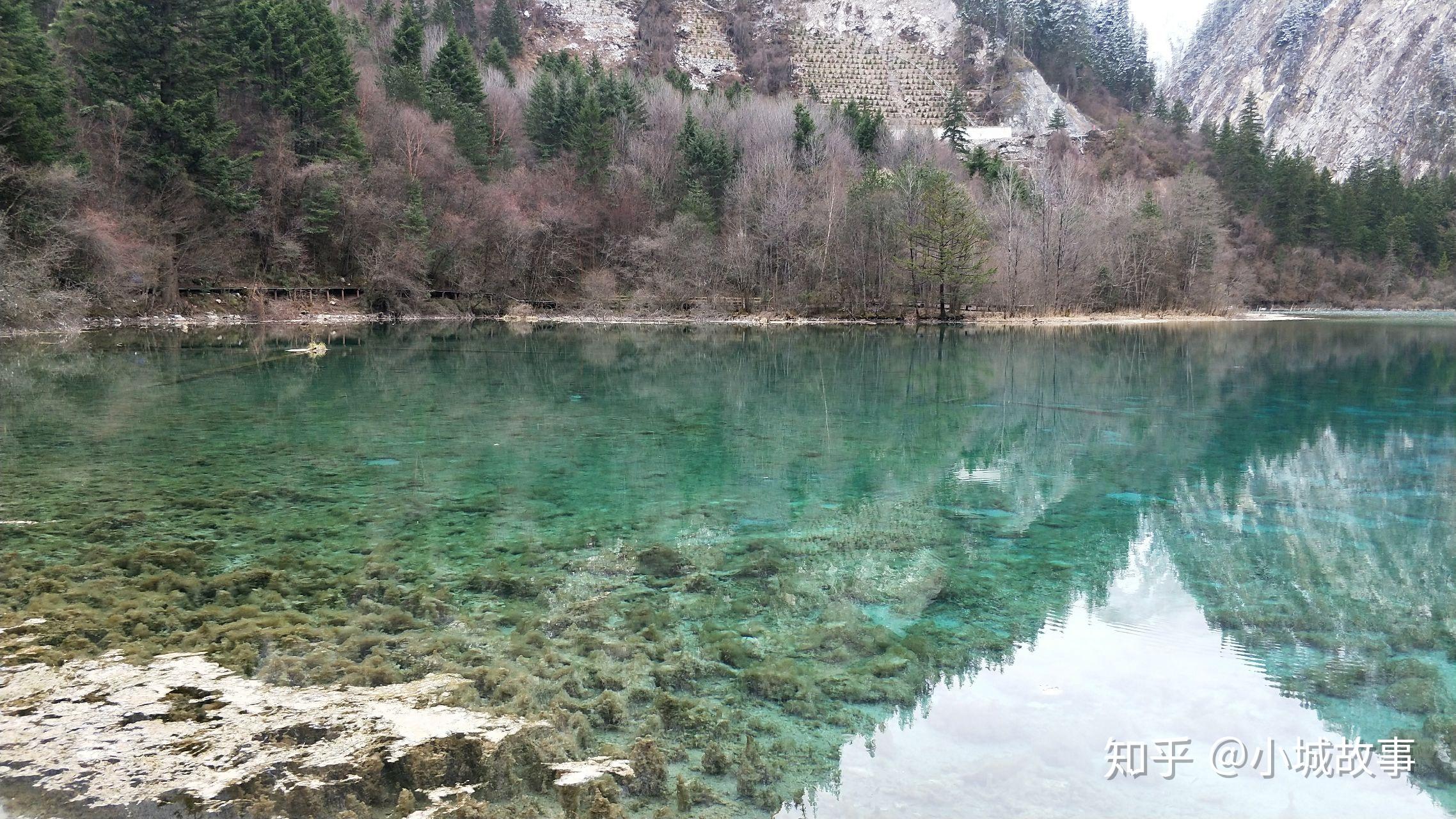 此為五花海.我覺得這的海,顏色是最美的.