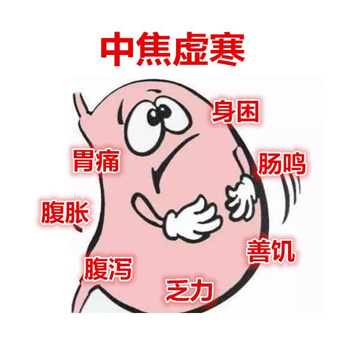 肠鸣,腹痛,善饥?这是脾胃虚寒,一剂理中汤,健脾散寒暖肠胃