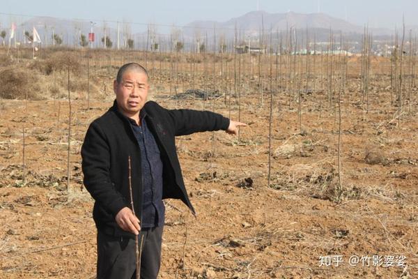 河南伊川:江左镇一村支部书记涉嫌违纪遭村民实名举报