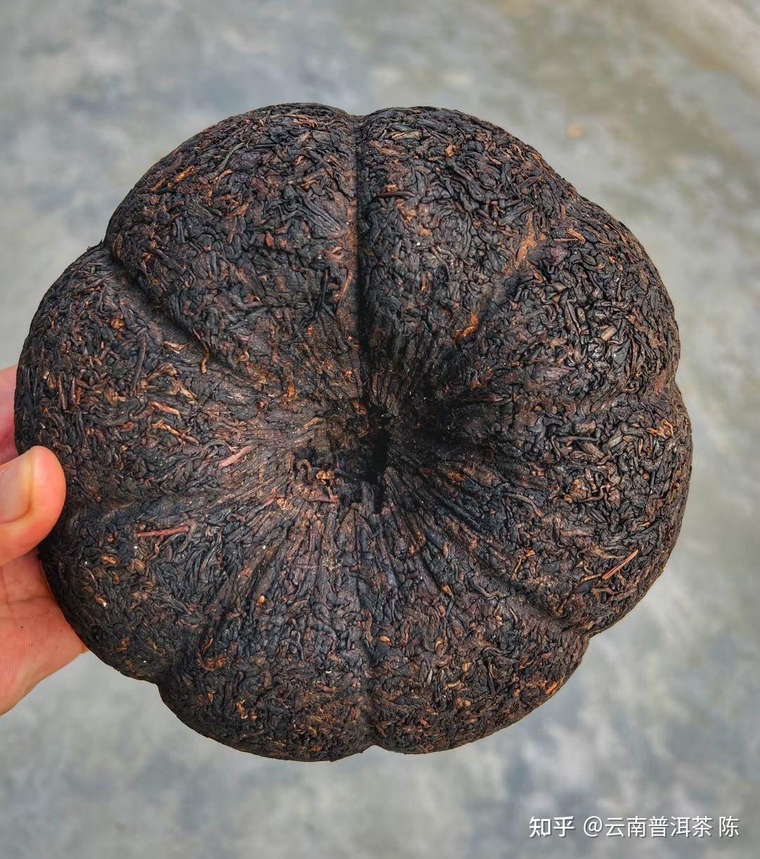 2003年农科所云茶金瓜熟茶