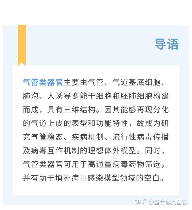 小鼠气道类器官培养图鉴 - 知乎