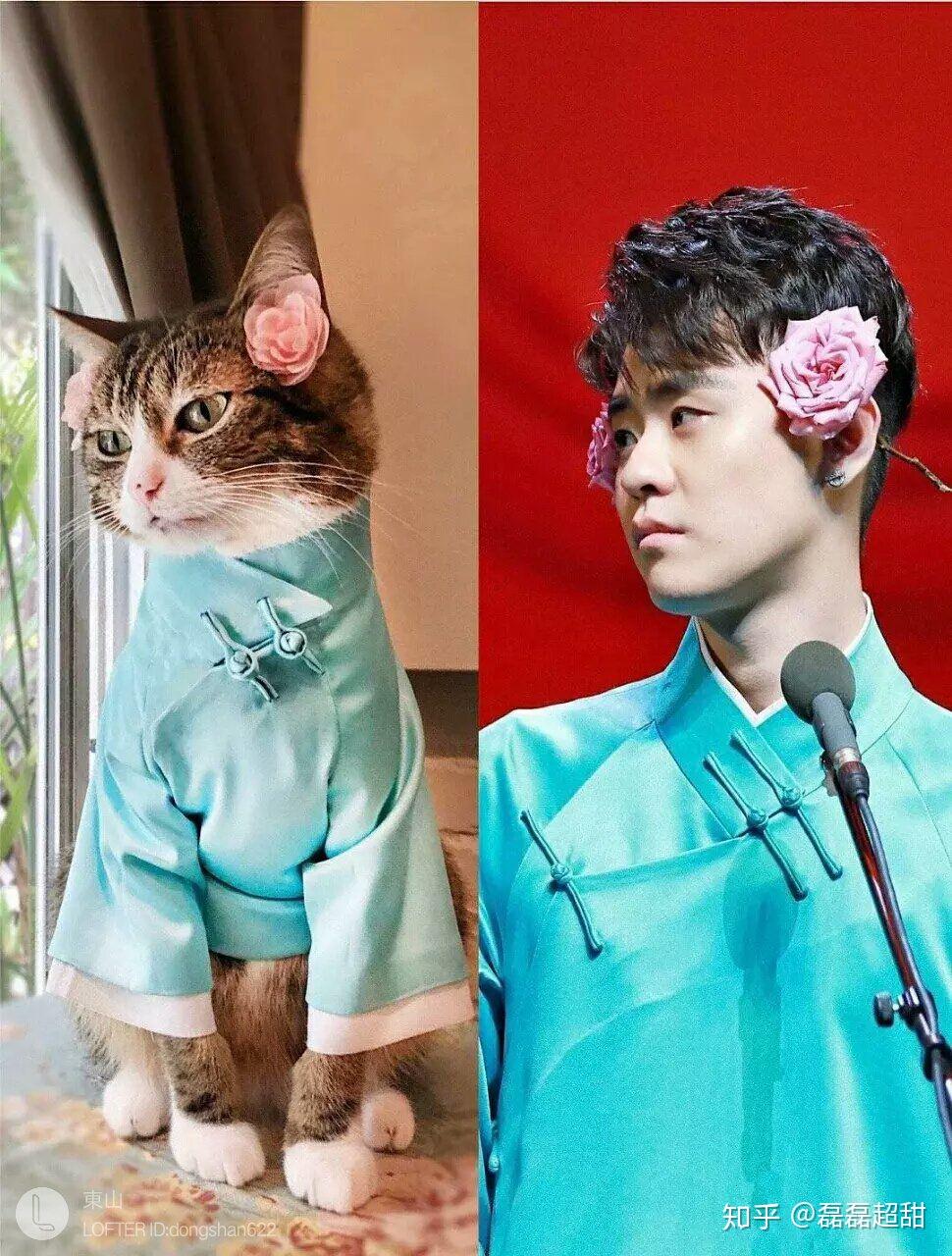 有没有觉得德云社有些人很像小动物比如张云雷就很像小狐狸王九龙很像