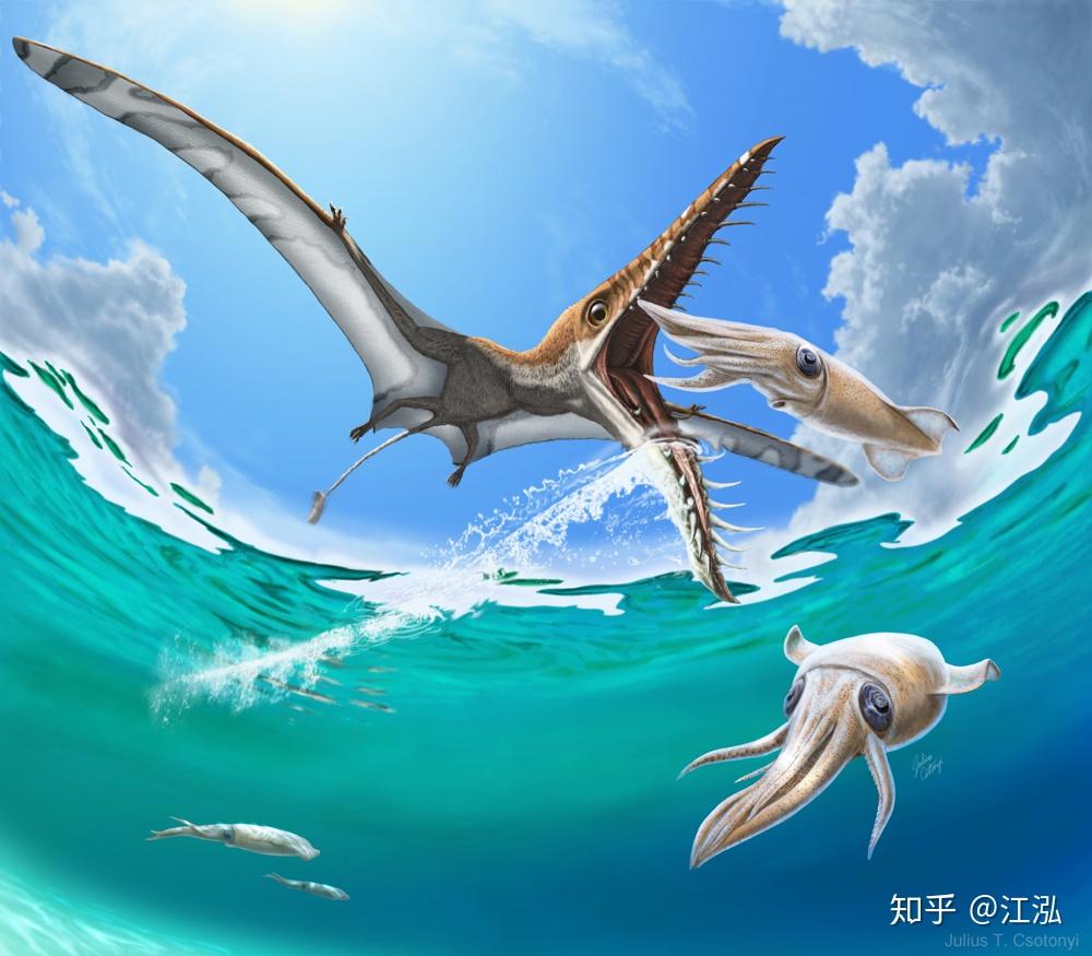 翼龙的多样性丰富吗有没有和猛禽相似专门捕食小恐龙或其它翼龙鸟类的