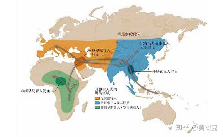 基因分析中国古代人口_传承红色基因手抄报