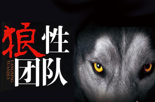 如何打造高效执行力的狼性团队？ - 知乎
