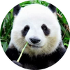 秦小生