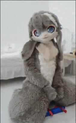 成人展终于注意到了Furry控的需求 - 知乎