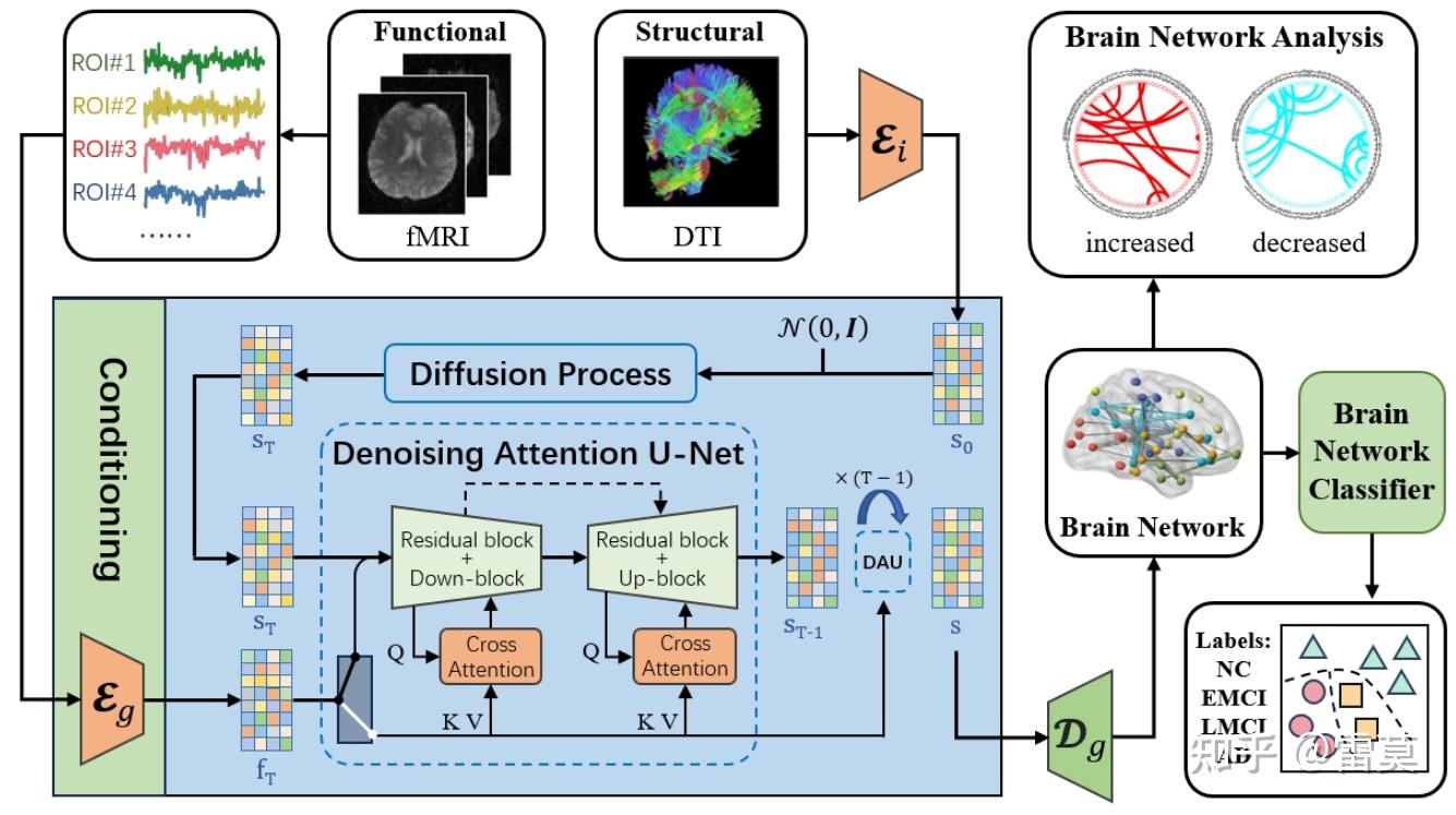 Network Diffusion Model 论文阅读 BrainNetDiff: Generative AI Empowers Brain Network Generation via ...