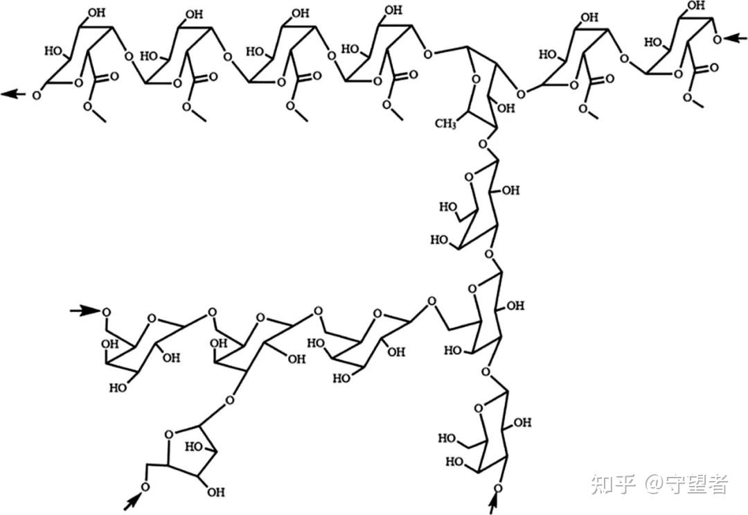 圖5 鼠李糖半乳糖醛酸聚糖化學結構圖6 海藻酸鈉結構圖7 真菌多糖在
